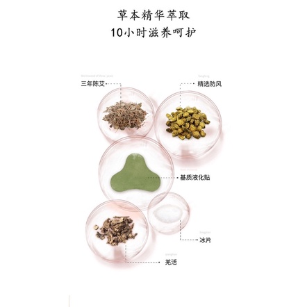 Túi 12 miếng dán ngải cứu vai gáy, eo, đầu gối Chaoya