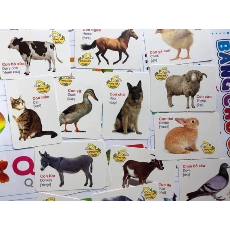 Bộ thẻ học thông minh