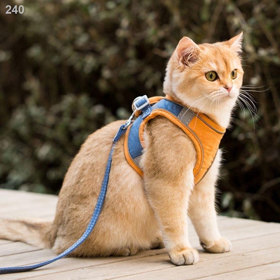 【giá cực rẻ】Dây kéo cho mèo kiểu áo vest nịt chống đột quỵ dễ thương đi ra ngoài chó đặc biệt dạo