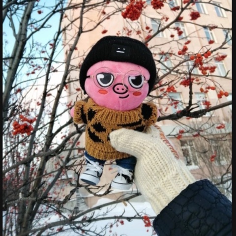 Stray KidsSkzoo búp bê sang trọng, Skz đồ chơi sang trọng Jiniret/Wolf Chan/Leebit/DWAEKKI/Jiniret/HAN Quokka/BbokAri/PuppyM/FoxI.Ny