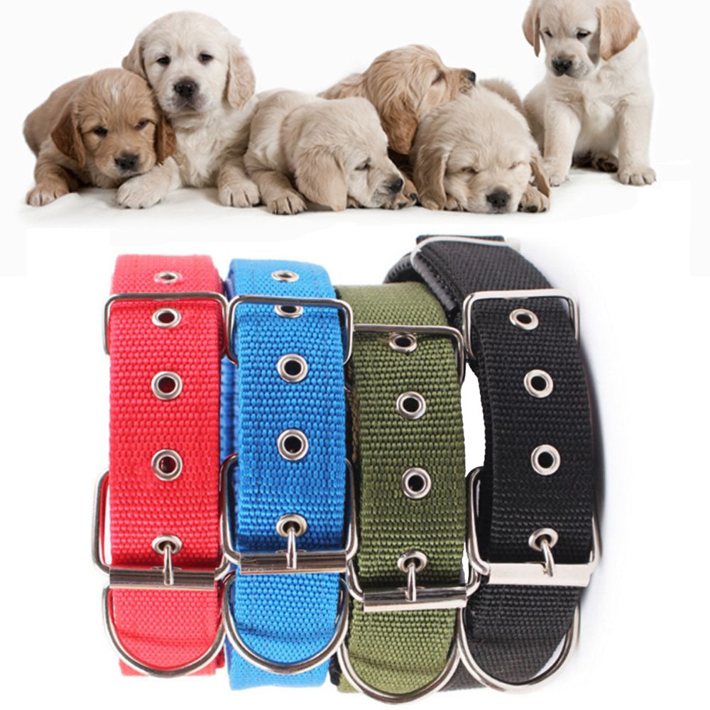 Vòng cổ nylon 2 lớp cho thú cưng