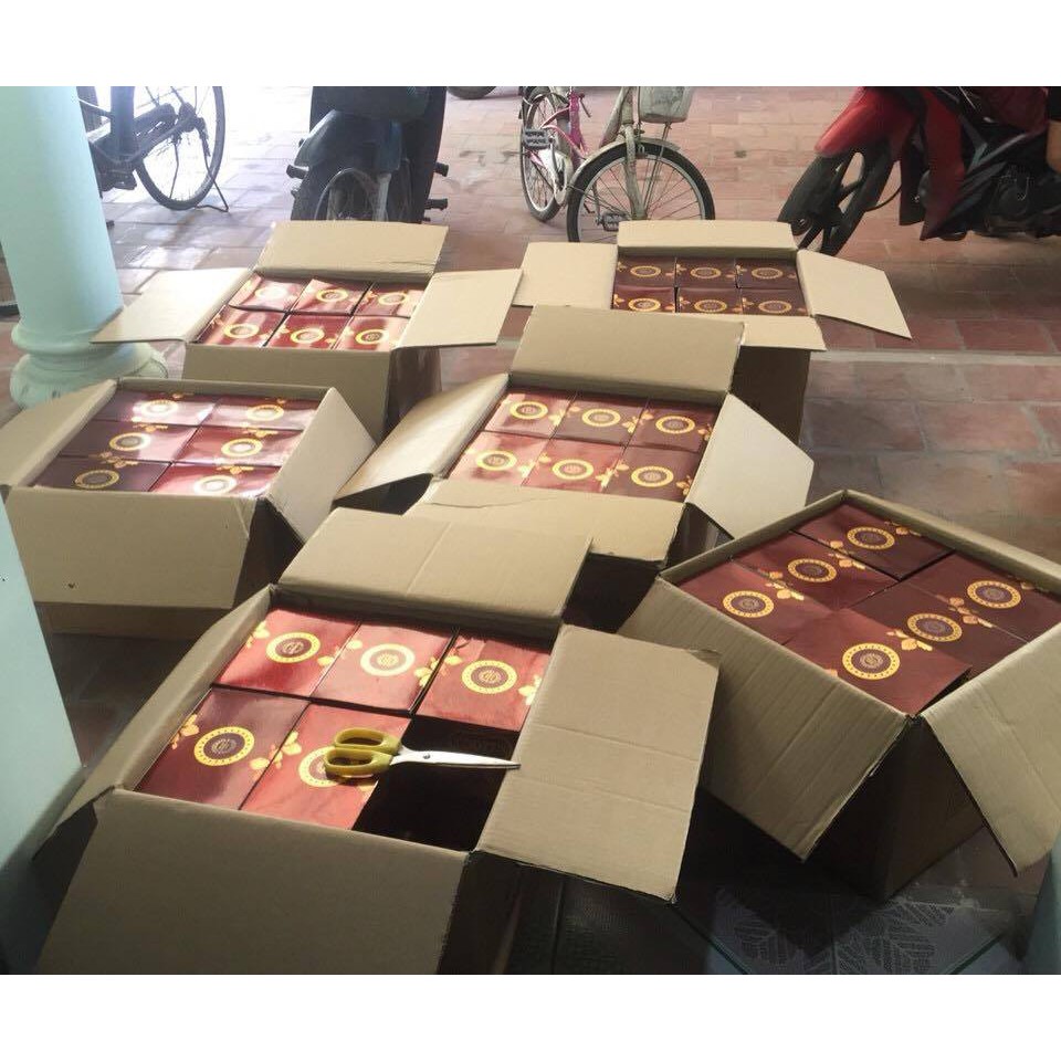 Combo Kem Hoa Cúc PauJenPai (Ngày + Đêm) | BigBuy360 - bigbuy360.vn