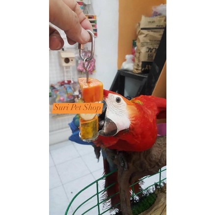 xiên trái cây dành cho vẹt