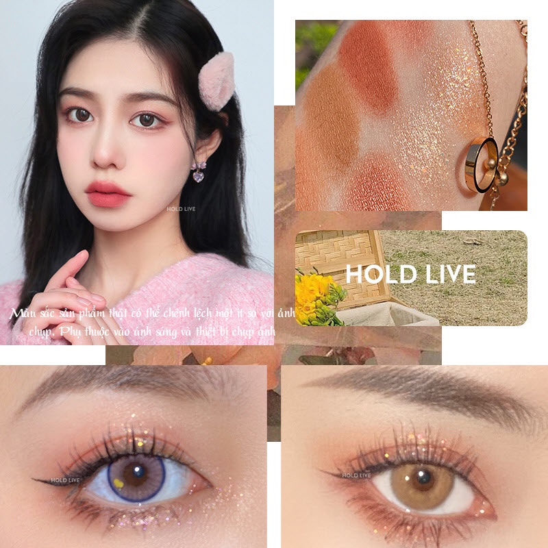 Bảng Phấn mắt 12 Ô Màu HOLDLIVE  Eyeshadow Palette HL470