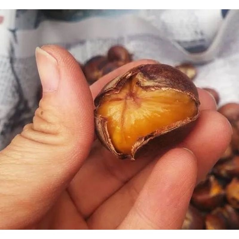 Hạt dẻ Bắc Kinh  Dẻo ,ngọt ,bở
