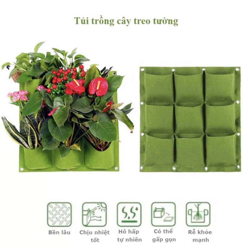 Túi trồng cây treo tường 9 hốc FL-GB9, Túi trồng hoa, rau, cây cảnh treo tường trang trí