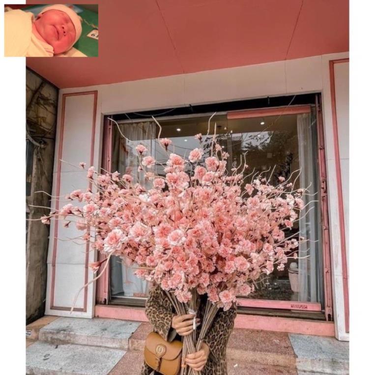 Hoa Giả- Cành Đào Râu-anh đào 1m trang trí tết,decor siêu xinh