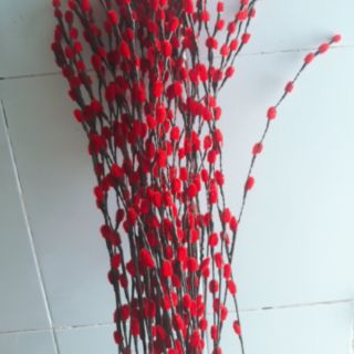 Bó 10 cành nụ tầm xuân