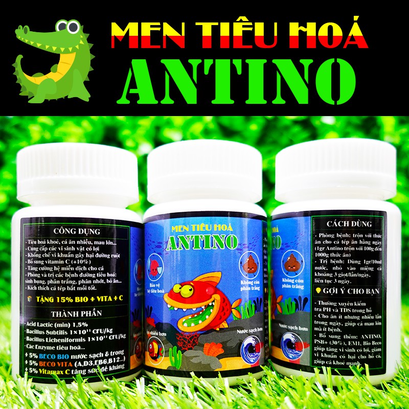 Men Tiêu Hoá ANTINO cao cấp cho cá tép 🦐