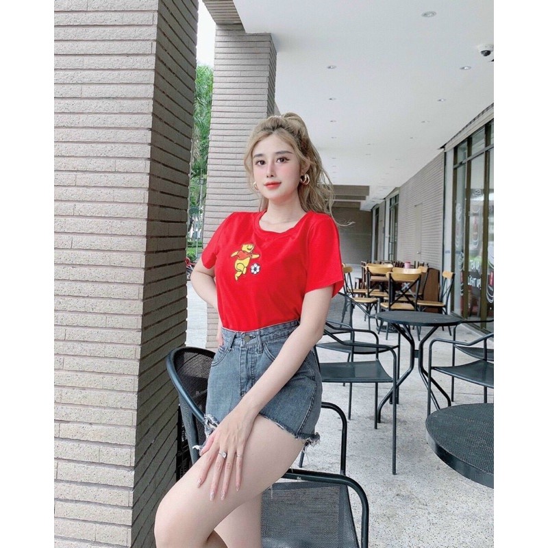 Áo THUN THÁI thêu form vừa(bao chất đẹp)