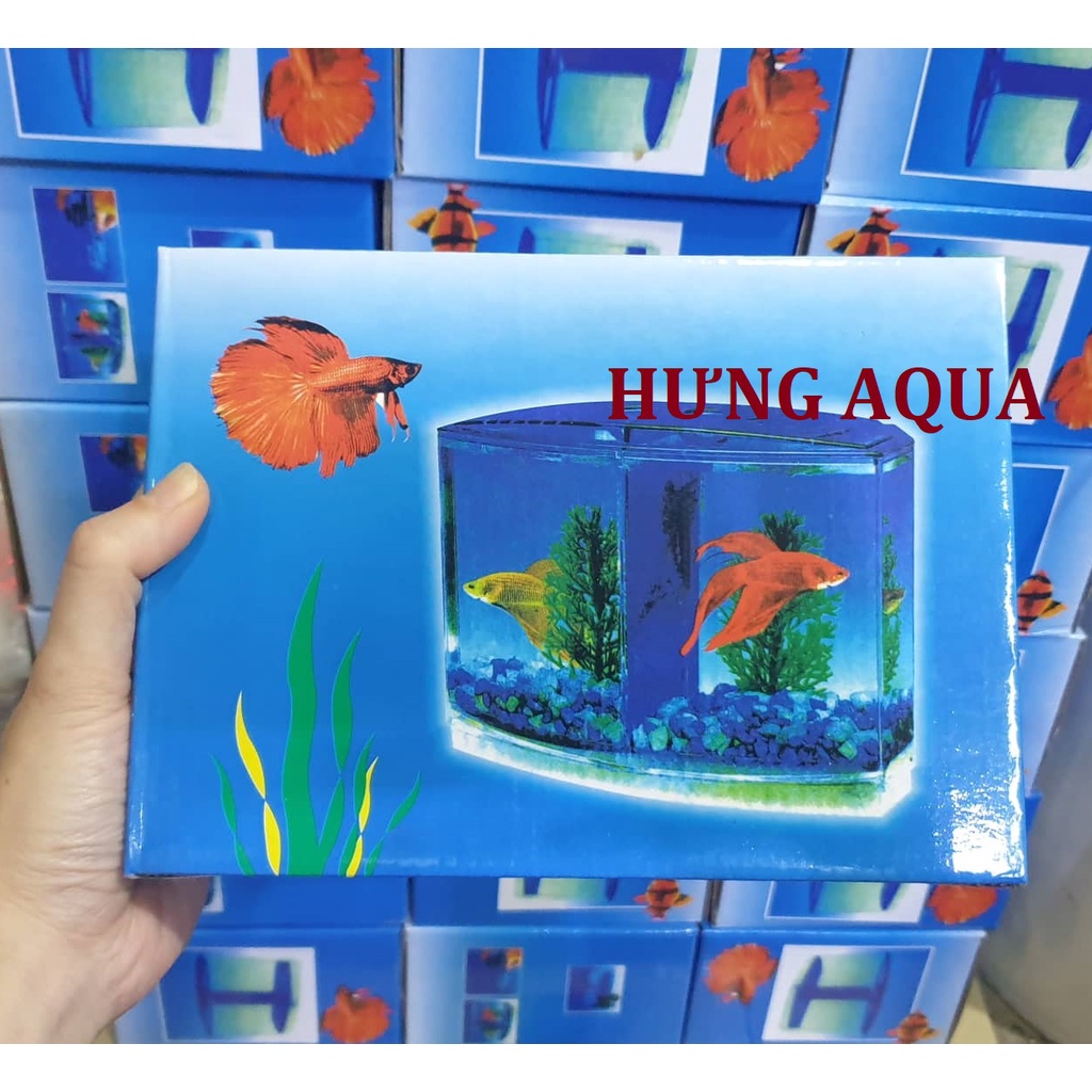 Bể cá, bể nuôi cá betta, cá chọi 2 ngăn 2 trong 1 chất liệu mica siêu trong, bền đẹp an toàn, bể cá để bàn
