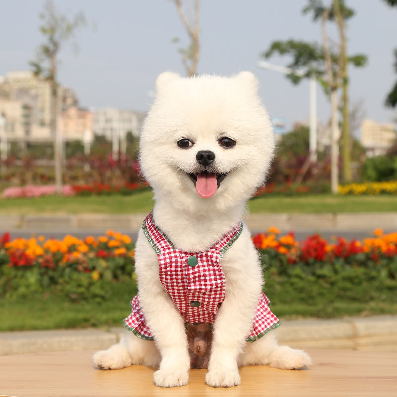 Đầm yếm xinh xắn cho thú cưng