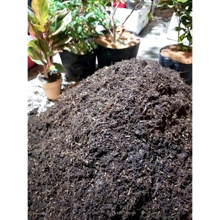 Đất trồng cây cảnh, đất trồng rau 2kg