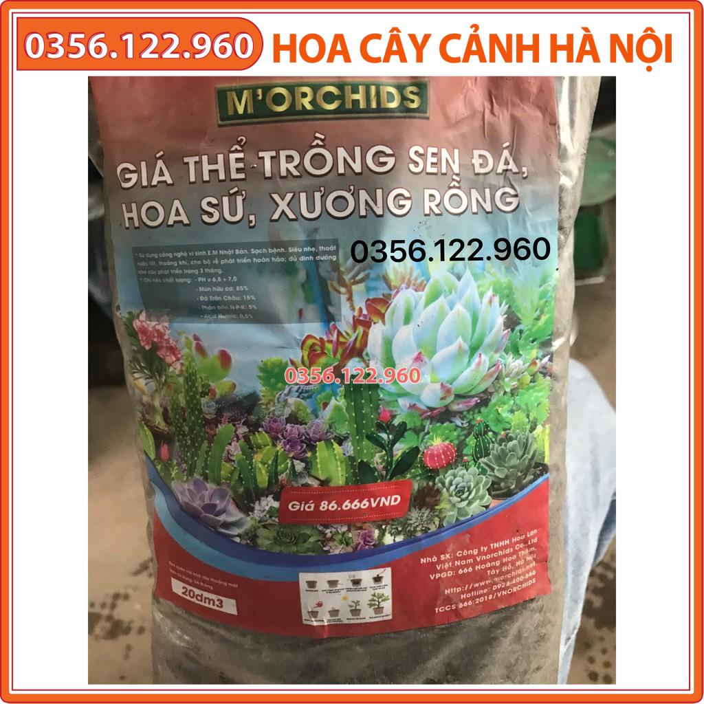 1kg giá thể đất trồng xương rồng, sen đá loại 1