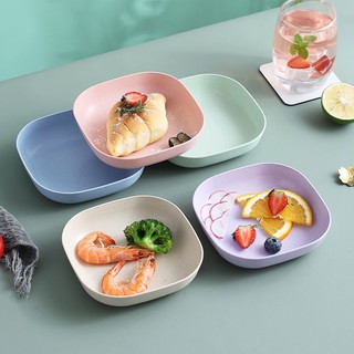 Set đĩa nhựa lúa mạch siêu rẻ