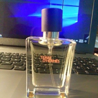 Nước hoa nam terre d'hermes - nhóm hương : hương gỗ