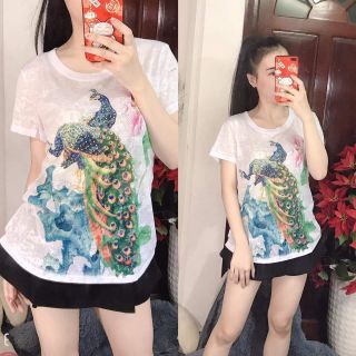 Áo thun giấy đính đá QC cao cấp có size