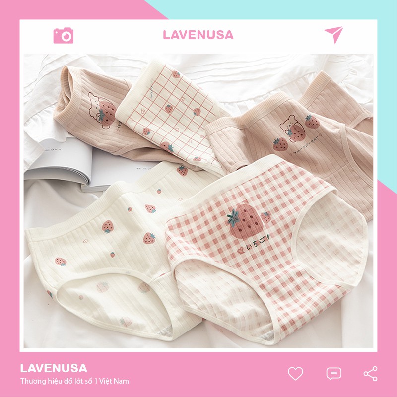 Quần lót cotton nữ hoạ tiết dâu cute dễ thương QL02