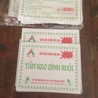 Tấm keo dính ruồi