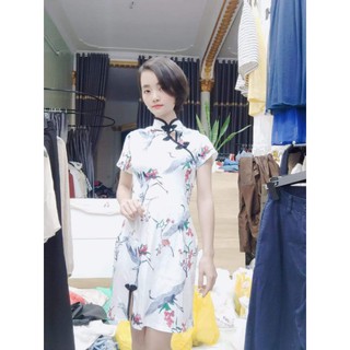 váy nữ sườn xám