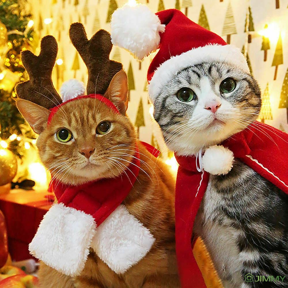 Bộ Đồ Hóa Trang Ông Già Noel Cho Thú Cưng