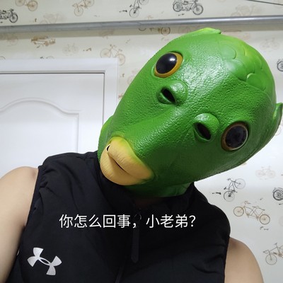 Mũ Trùm Đầu Hóa Trang Hình Cá Đáng Yêu