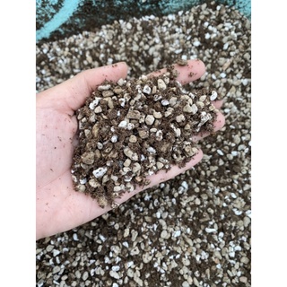 Đất trộn trồng sen đá, xương rồng