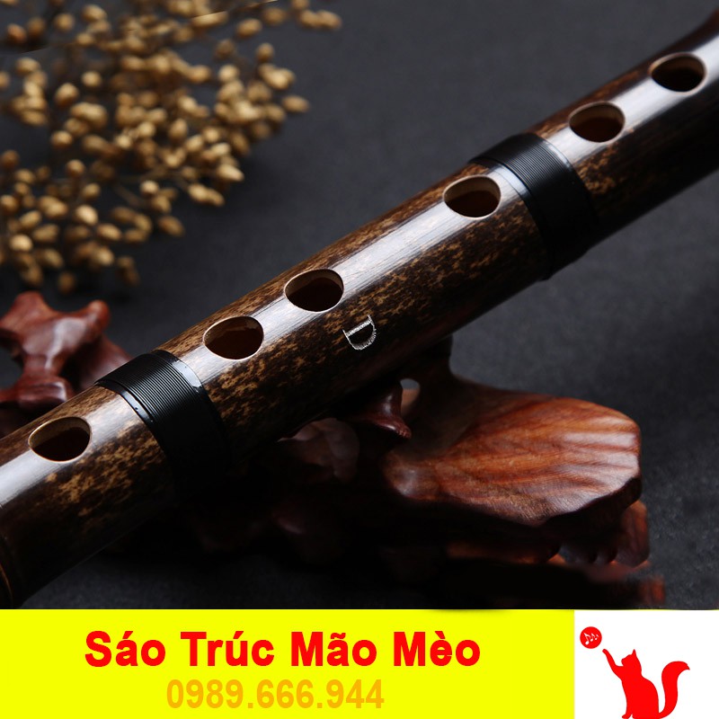 Sáo Dizi Trúc Tím Cao Cấp Bọc Sừng 🎁FREESHIP🎁 Sáo Trúc Mão Mèo Chính Hãng
