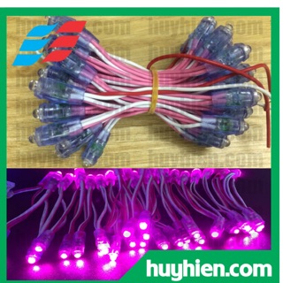 Led đúc F5 5v màu hồng tím, trắng ấm - dây 50 bóng