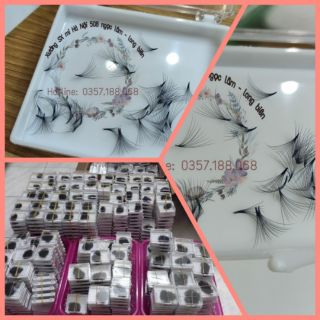 Mi nối fan 10d sắc nét - hộp 500fan