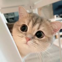 Âm thanh Karaoke - nghe nhạc