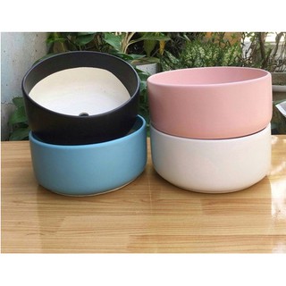 Chậu Sứ Trồng Sen đá, Cây Cảnh Mini Hình Trụ Thấp 4 màu lựa chọn