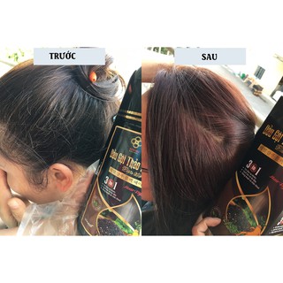 DẦU GỘI THẢO DƯỢC ĐEN TÓC