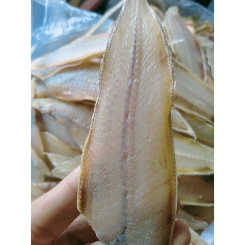 500g Khô Cá Lưỡi Trâu Cá (Cá Bơn) Loại Ngon Y Hình | BigBuy360 - bigbuy360.vn