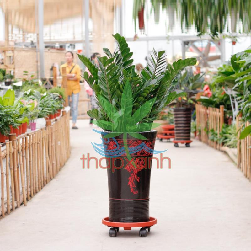 Giá để chậu hoa bằng nhựa TDN, Kệ để chậu cây cảnh 4 bánh, Đế chậu cây có bánh xe lăn