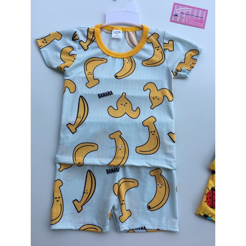 [ XẢ KHO ] Bộ thun lạnh hoa quả cho bé trai bé gái từ 7-19kg