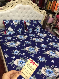 Ga gối cotton lụa ( cotton 100%)