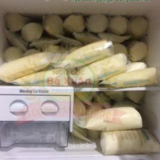 Ngũ cốc lợi sữa 13 loại hạt