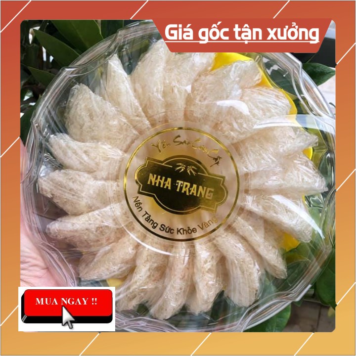 Yến sào Nha Trang Giá rẻ Loại 2 trọng lượng  50gr / 100gr