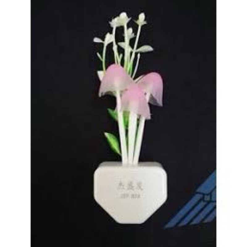đèn ngủ cảm ứng ánh sáng hình nấm.
