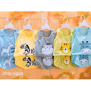Set chip ngựa (nguyên set 5 bộ. Size 3-14kg