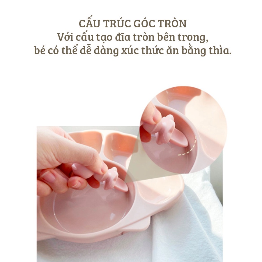 Khay Ăn Dặm Chống Lật Hình Con Sò Chia Ngăn Tiện Lợi TGM Silicone Seashell Suction Plate, Nắp Kiêm Đĩa Bán Riêng