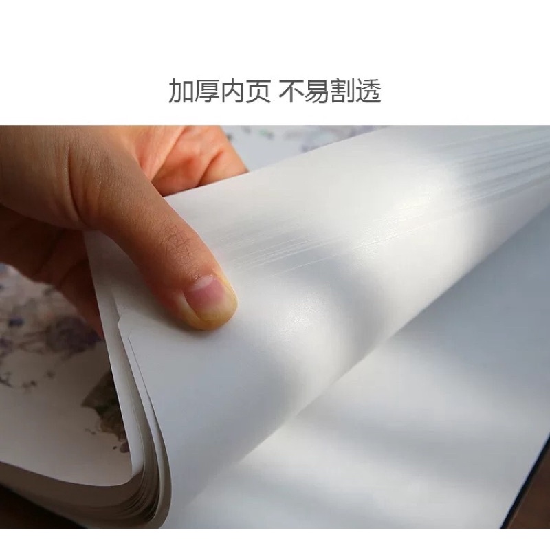 SỔ CHIẾT LƯU TRỮ WASHI STICKER