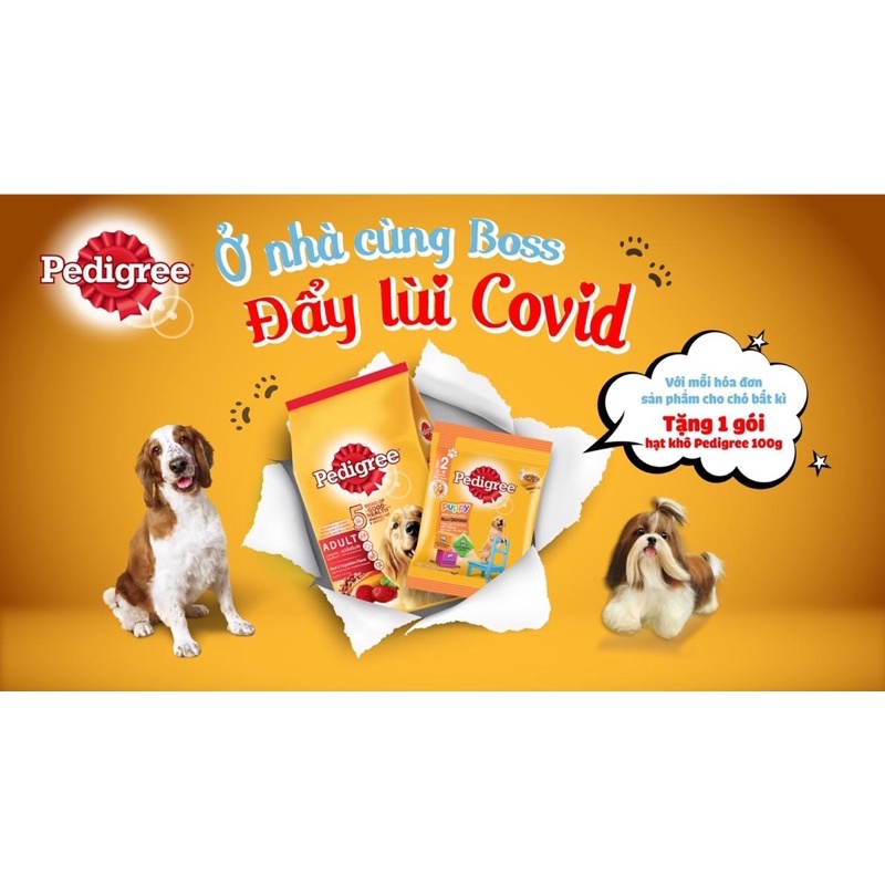 [KM 1-1] Thức Ăn Cho Chó Trưởng Thành Vị Thịt Bò &amp; Rau Củ Pedigree Adult 1.5kg