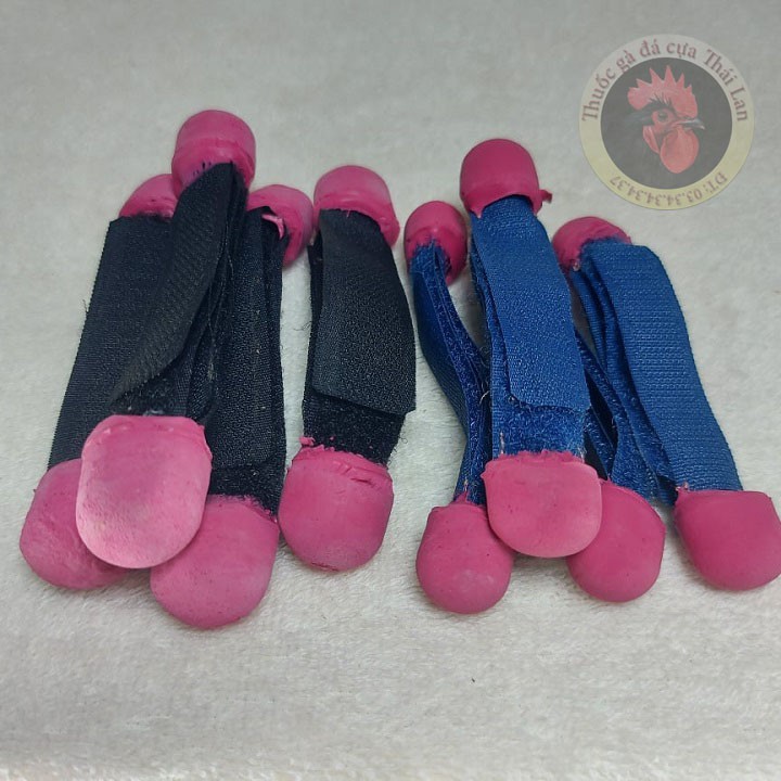 Bịt cựa gà  NÒI - loại dán - 2 cặp dành cho 2 con gà