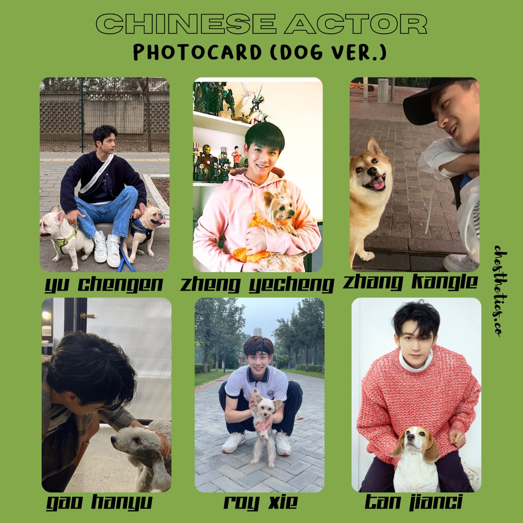 [ CHINA ACTOR ] Ảnh Card Bo Góc Diễn Viên Nam Trung Quốc - Chủ Đề Chụp Ảnh Cùng Cún [ PHOTOCARD ]
