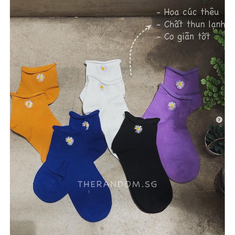 Vớ thêu hoa cúc XOĂN cổ trung màu basic