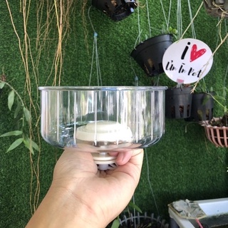 Wheel hamster trong suốt DAISY siêu êm