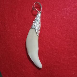 Mặc dây chuyền Nanh sói Châu Phi