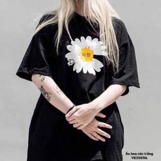 Áo hoa cúc trắng ( YB)